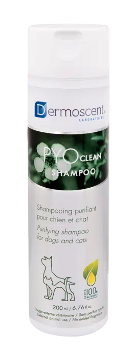 Pyoclean lemmikin shampoo - Inushop.fi