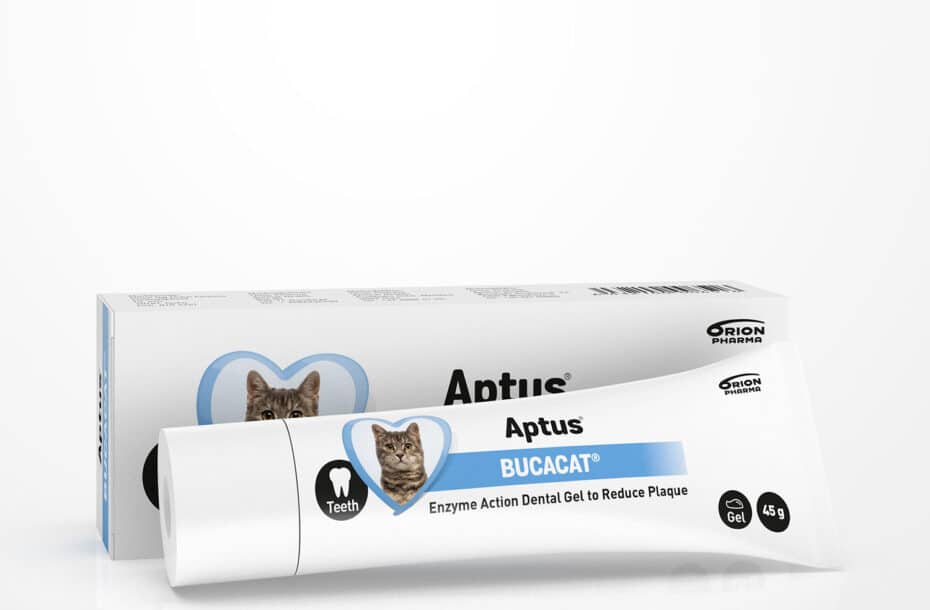 Aptus bucacat hammasgeeli - Inushop.fi