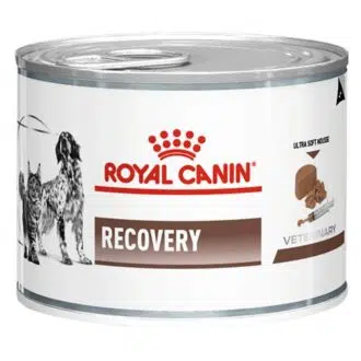 Royal Canin toipilasruoka kissoille ja koirille - Inushop.fi