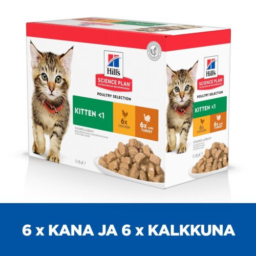 Hilss kitten kissanruoka pennuille jossa lisänä vitamiinit - Inushop.fi