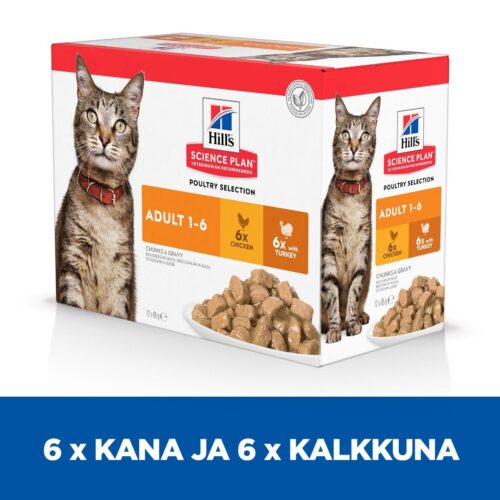 Hills kissan märkäruoka johon lisätty vitamiineja -Inushop.fi