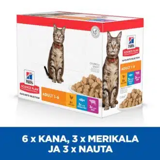 Hill's SP Feline kissanruoka monipakkaus - Inushop.fi